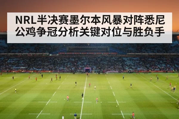 NRL stadium crowd